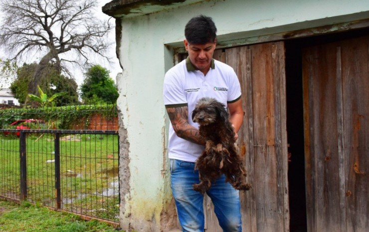 El Municipio fortalece acciones para generar conciencia y respeto a los animales